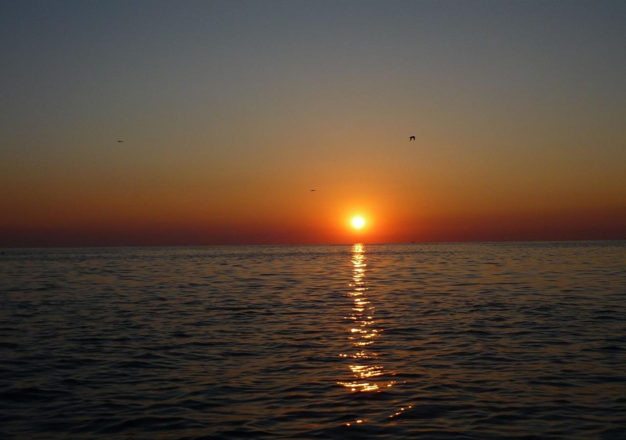 Hotel San Giorgio Savoia Bellaria-Igea Marina Esterno foto